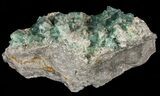 Fluorite & Galena Cluster - Rogerley Mine #60370-2